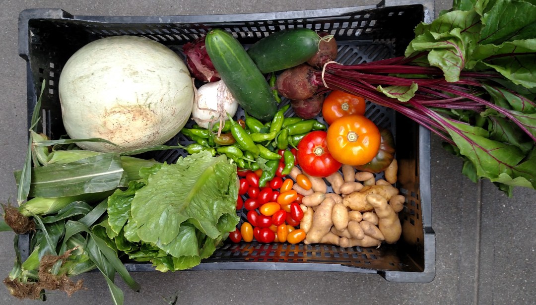 IMG_20160817_181309206