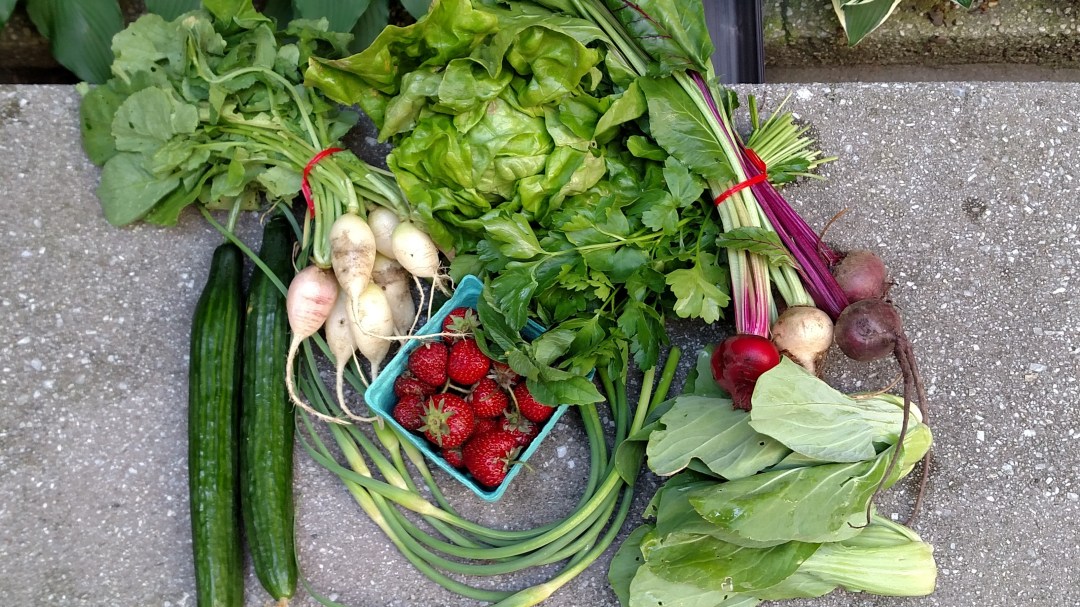 IMG_20170614_171605397